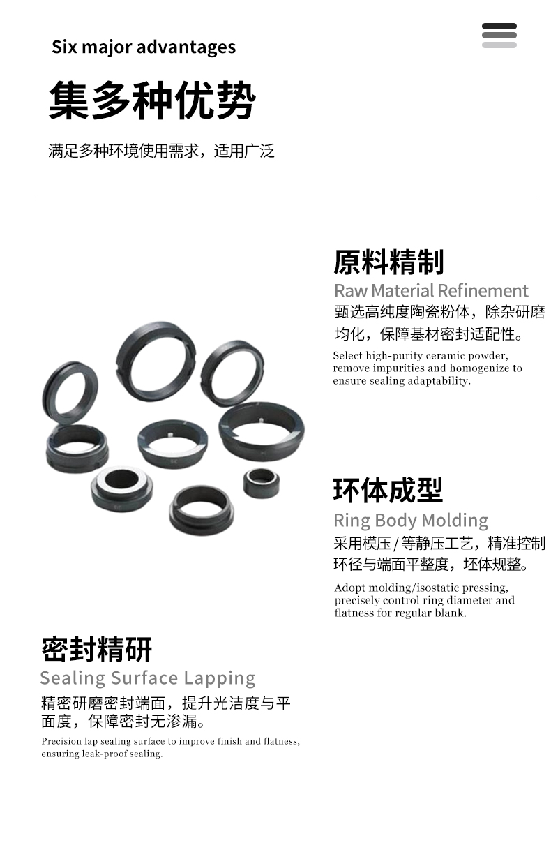 陶瓷密封环 - 4