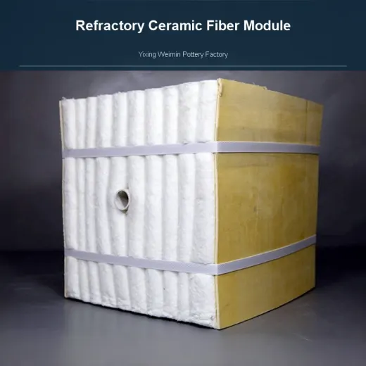 Refractory Ceramic Fiber Module