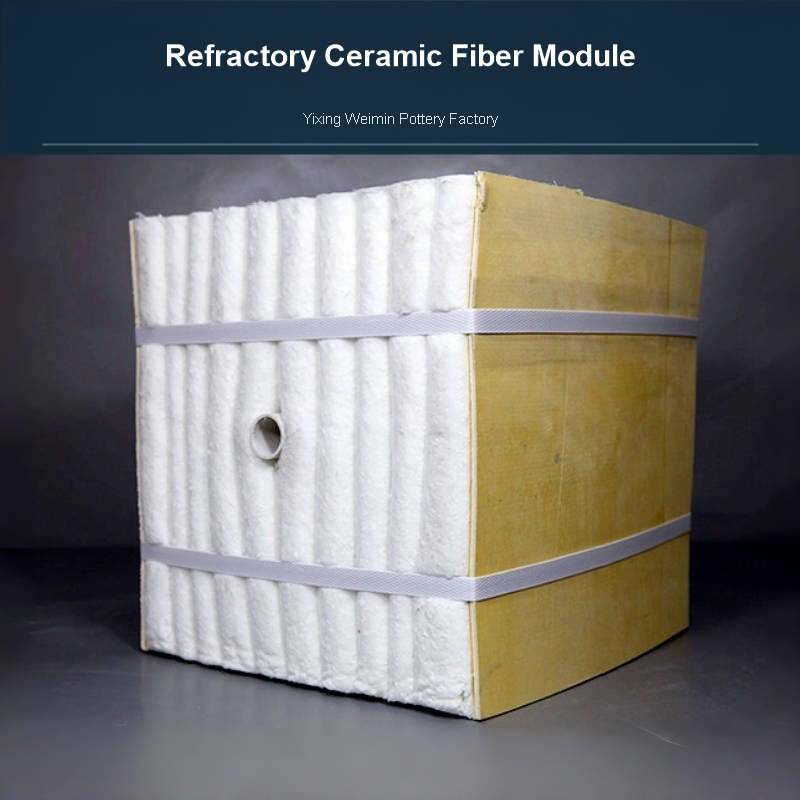 Refractory Ceramic Fiber Module